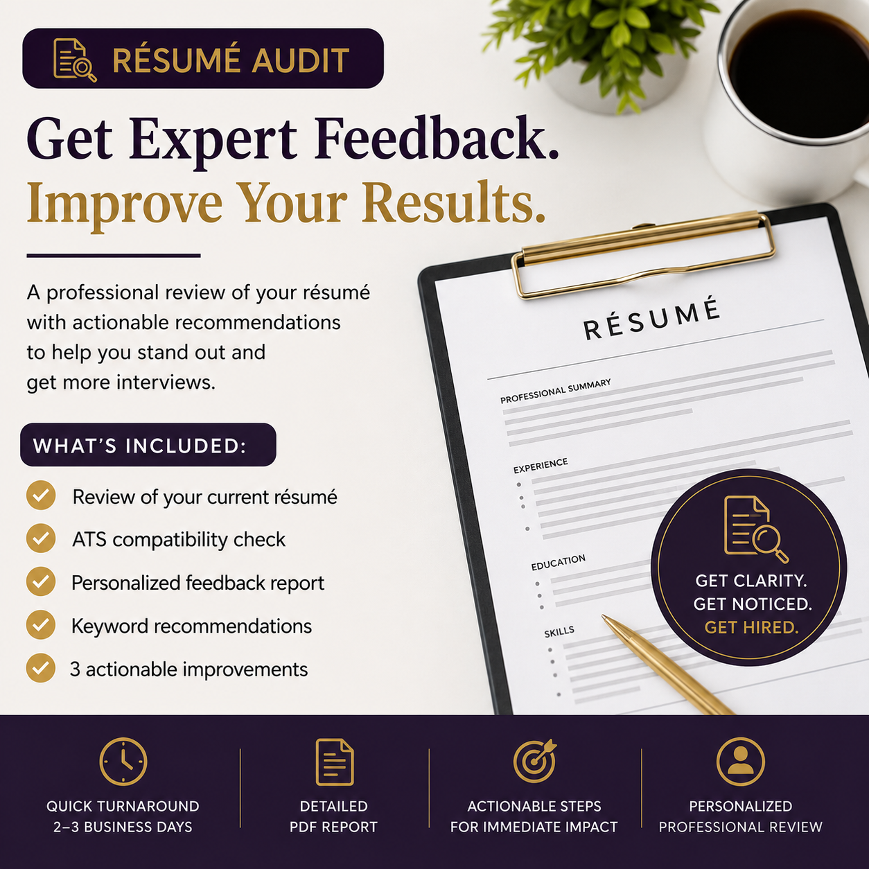 Resume Audit promotional graphic